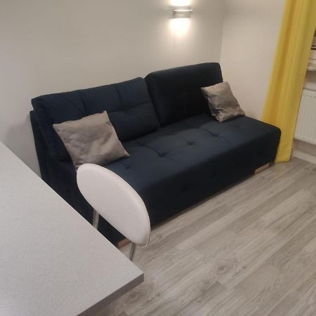 Comfortable Studio Only 20 Minutes From International Conference Center Katowice Best Place For Wuf2022 Eec Tnf Off Etc Siemianowice Śląskie Esterno foto