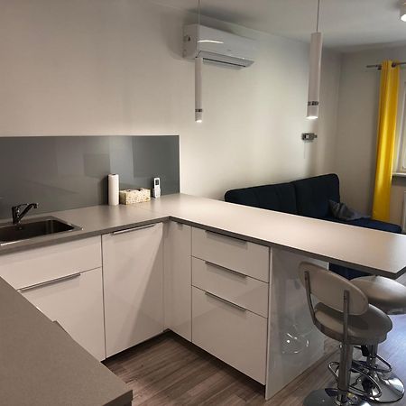 Comfortable Studio Only 20 Minutes From International Conference Center Katowice Best Place For Wuf2022 Eec Tnf Off Etc Siemianowice Śląskie Esterno foto