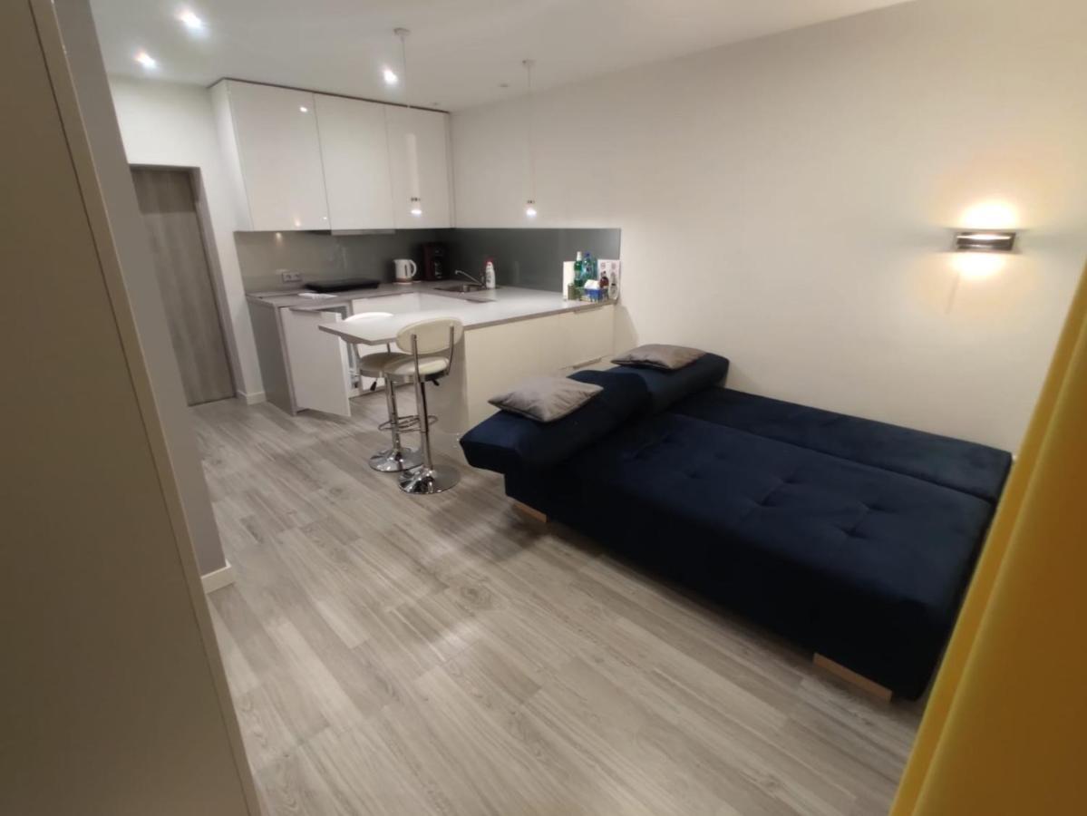 Comfortable Studio Only 20 Minutes From International Conference Center Katowice Best Place For Wuf2022 Eec Tnf Off Etc Siemianowice Śląskie Esterno foto