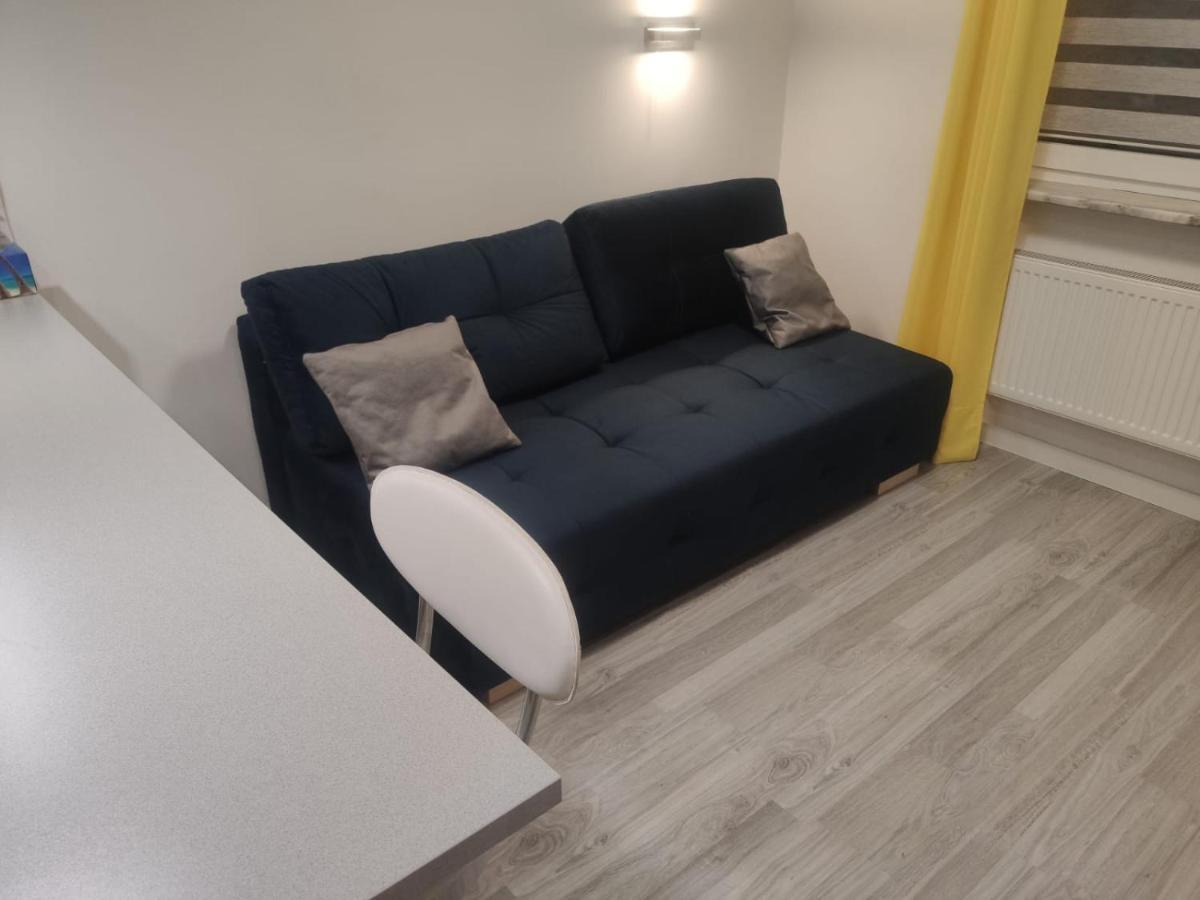 Comfortable Studio Only 20 Minutes From International Conference Center Katowice Best Place For Wuf2022 Eec Tnf Off Etc Siemianowice Śląskie Esterno foto